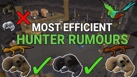 Most Efficient Hunters' Rumours Easy Guide .